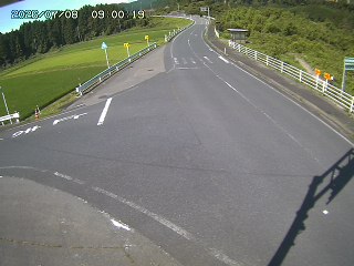 琴浦町三本杉
