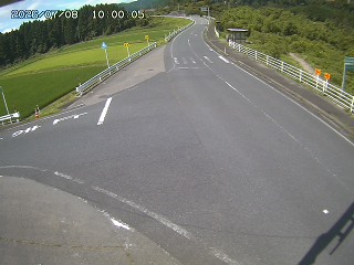 琴浦町三本杉