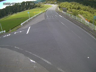 琴浦町三本杉
