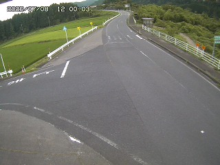 琴浦町三本杉