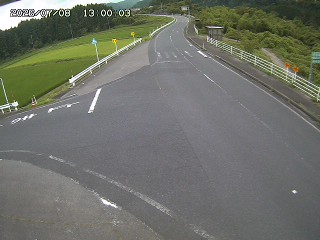 琴浦町三本杉