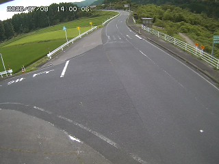 琴浦町三本杉