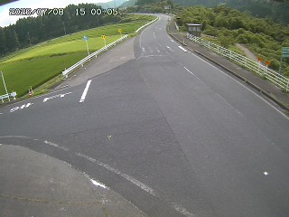琴浦町三本杉