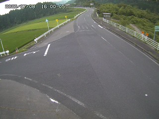 琴浦町三本杉