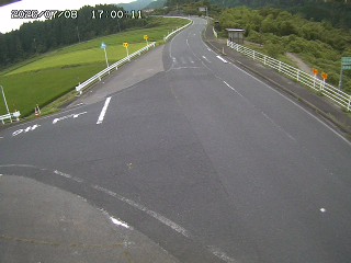 琴浦町三本杉