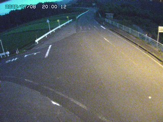 琴浦町三本杉