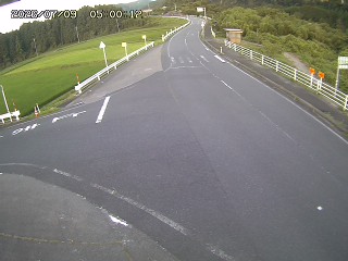 琴浦町三本杉