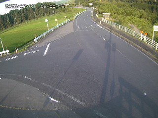 琴浦町三本杉