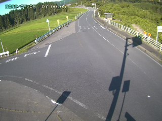 琴浦町三本杉