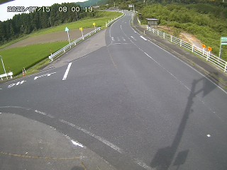 琴浦町三本杉