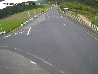 琴浦町三本杉