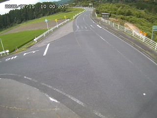琴浦町三本杉