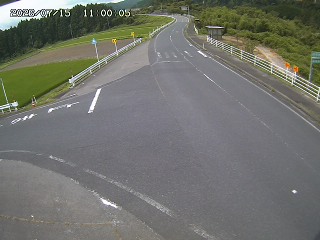 琴浦町三本杉