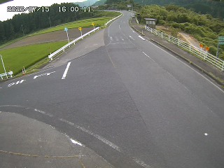 琴浦町三本杉