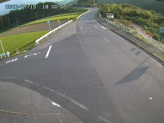 琴浦町三本杉