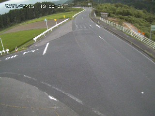琴浦町三本杉