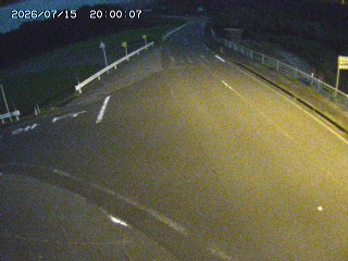 琴浦町三本杉