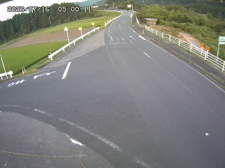 琴浦町三本杉