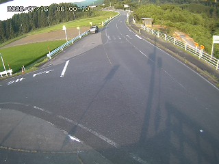 琴浦町三本杉