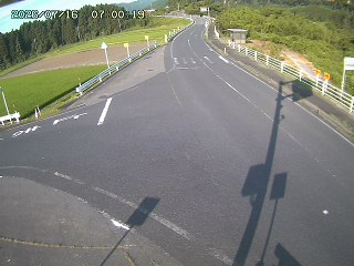 琴浦町三本杉