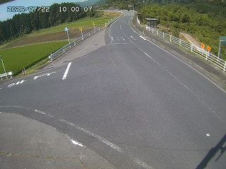 琴浦町三本杉