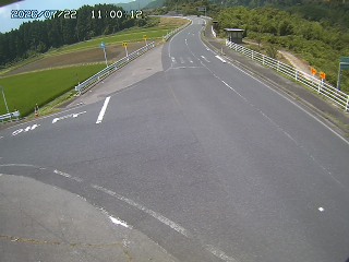 琴浦町三本杉