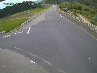 琴浦町三本杉