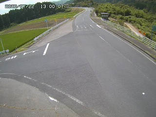 琴浦町三本杉