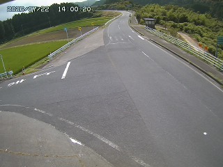 琴浦町三本杉