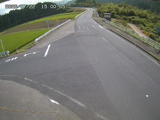 琴浦町三本杉