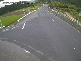 琴浦町三本杉