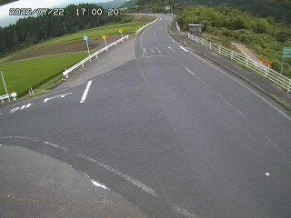 琴浦町三本杉