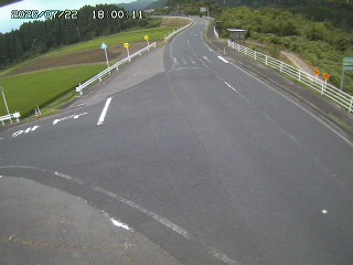 琴浦町三本杉