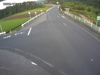 琴浦町三本杉