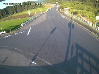 琴浦町三本杉