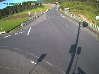 琴浦町三本杉