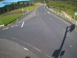 琴浦町三本杉