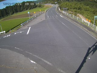 琴浦町三本杉