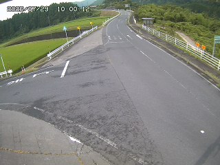 琴浦町三本杉