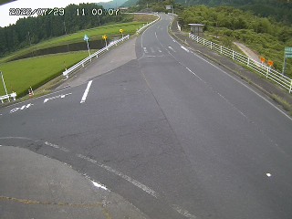 琴浦町三本杉