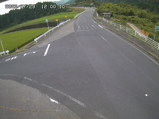 琴浦町三本杉