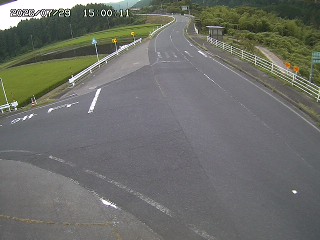 琴浦町三本杉