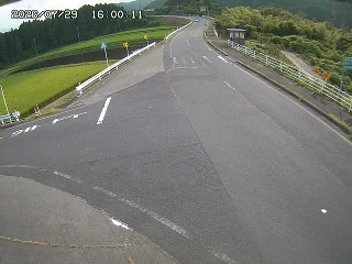 琴浦町三本杉