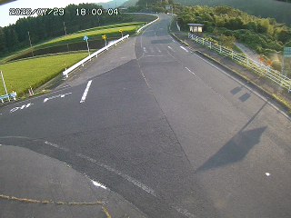 琴浦町三本杉