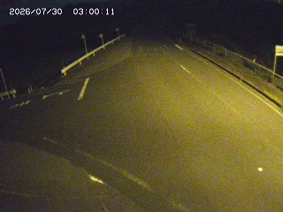 琴浦町三本杉