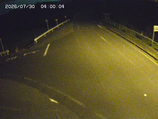 琴浦町三本杉