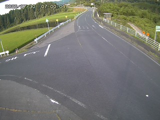 琴浦町三本杉