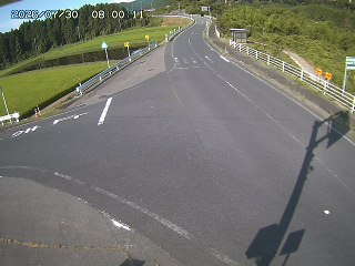 琴浦町三本杉