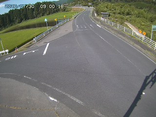 琴浦町三本杉