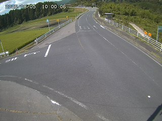琴浦町三本杉